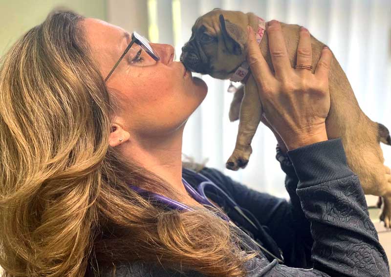 Carousel Slide 2: Dog veterinarians