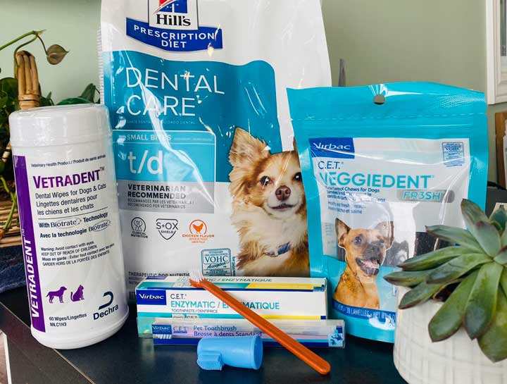 Preventive Dental Care